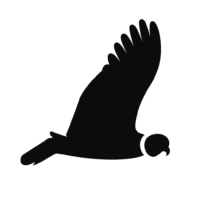 Home luismandiola.com